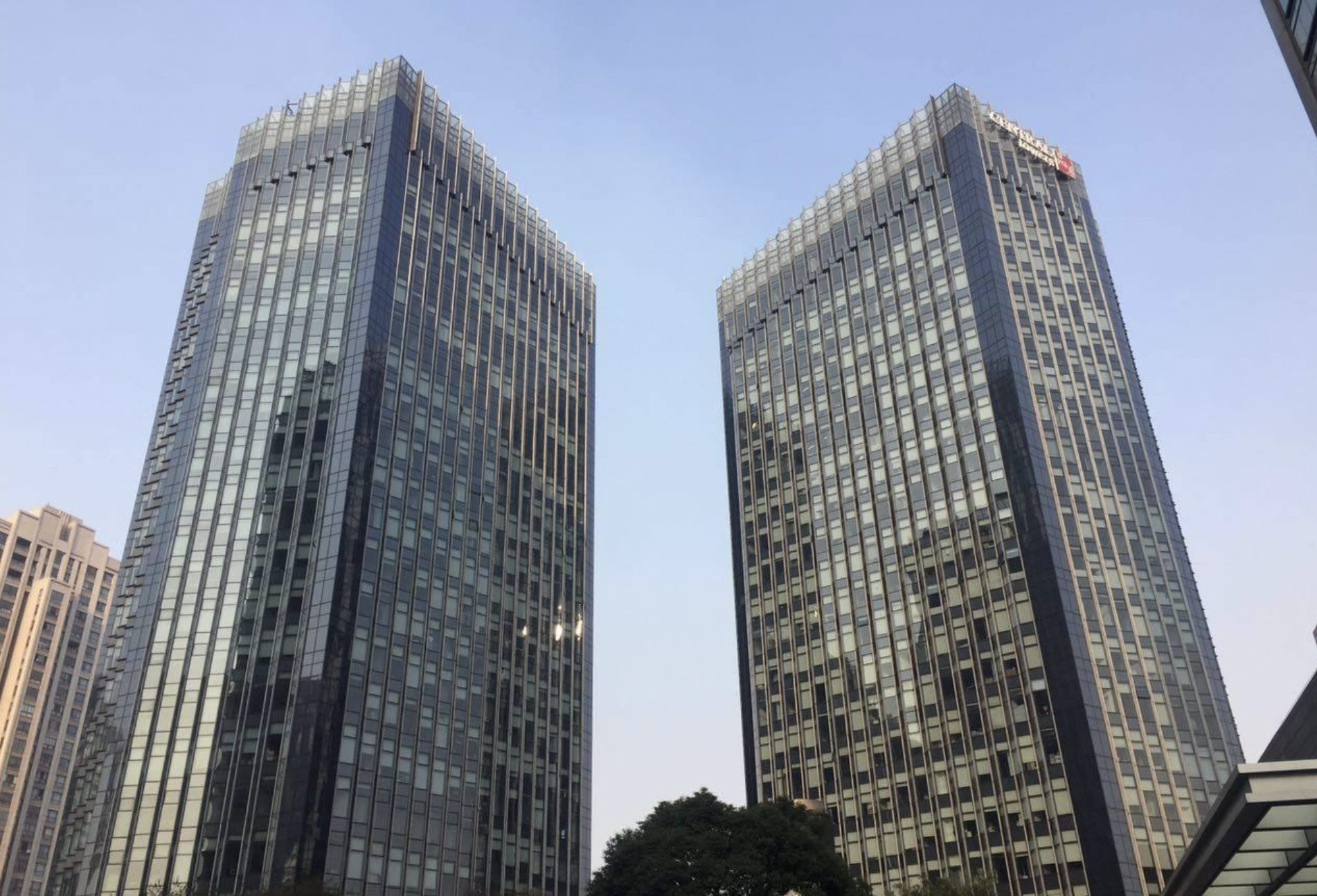 雷格斯-品尊国际中心